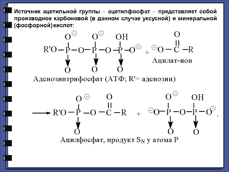 Источник ацетильной группы  ацетилфосфат  представляет собой производное карбоновой (в данном случае уксусной)